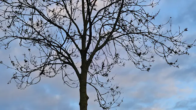 Wolken en een beetje blauw - Nely van Frankenhuyzen