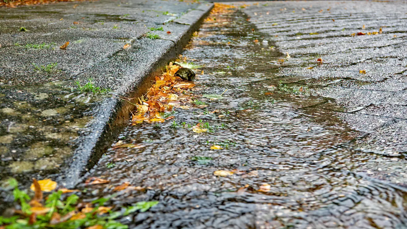 Water en blad vielen met bakken tegelijk op de grond - Simone Genna
