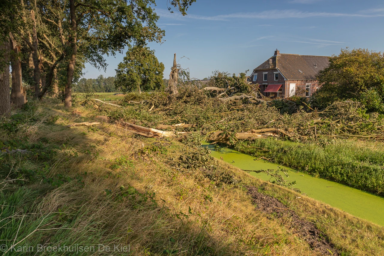 Hier het beeld van nog iets verder weg - Karin Broekhuijsen