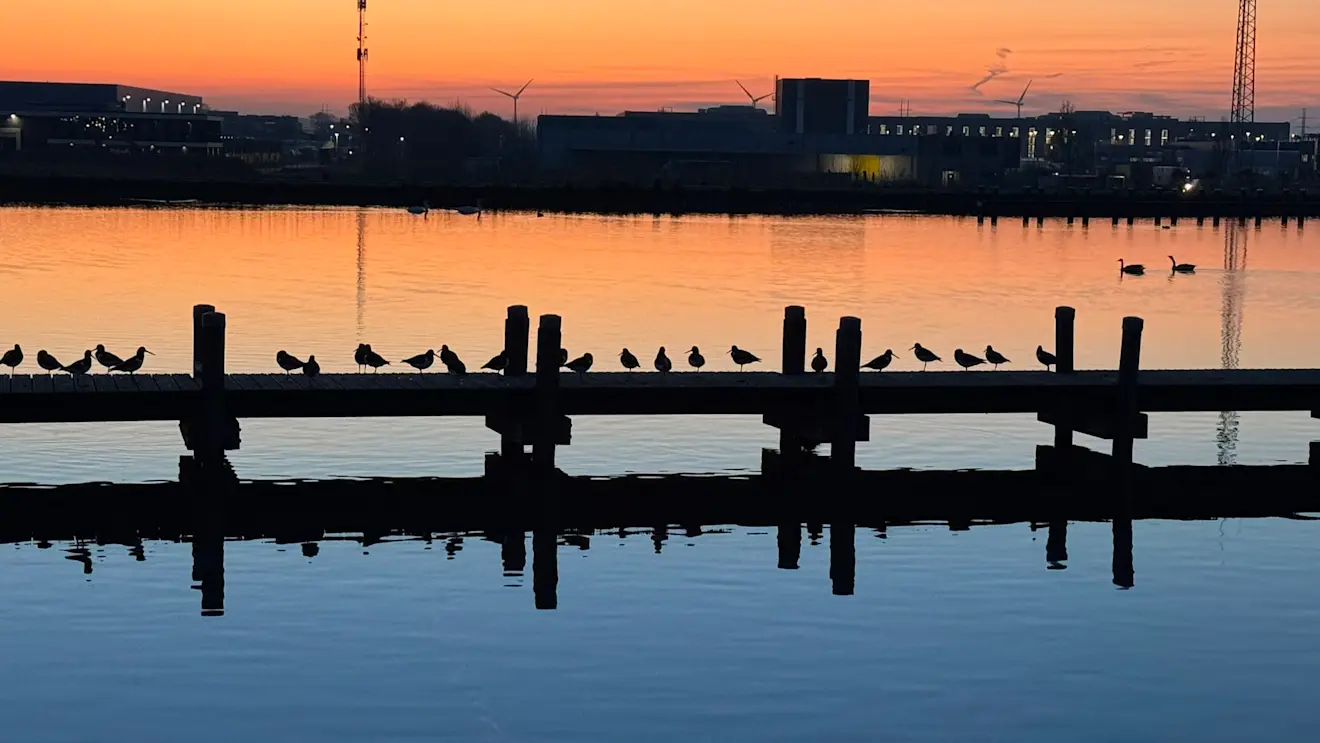 Prachtig, heldere zonsondergang - Jolanda Bakker