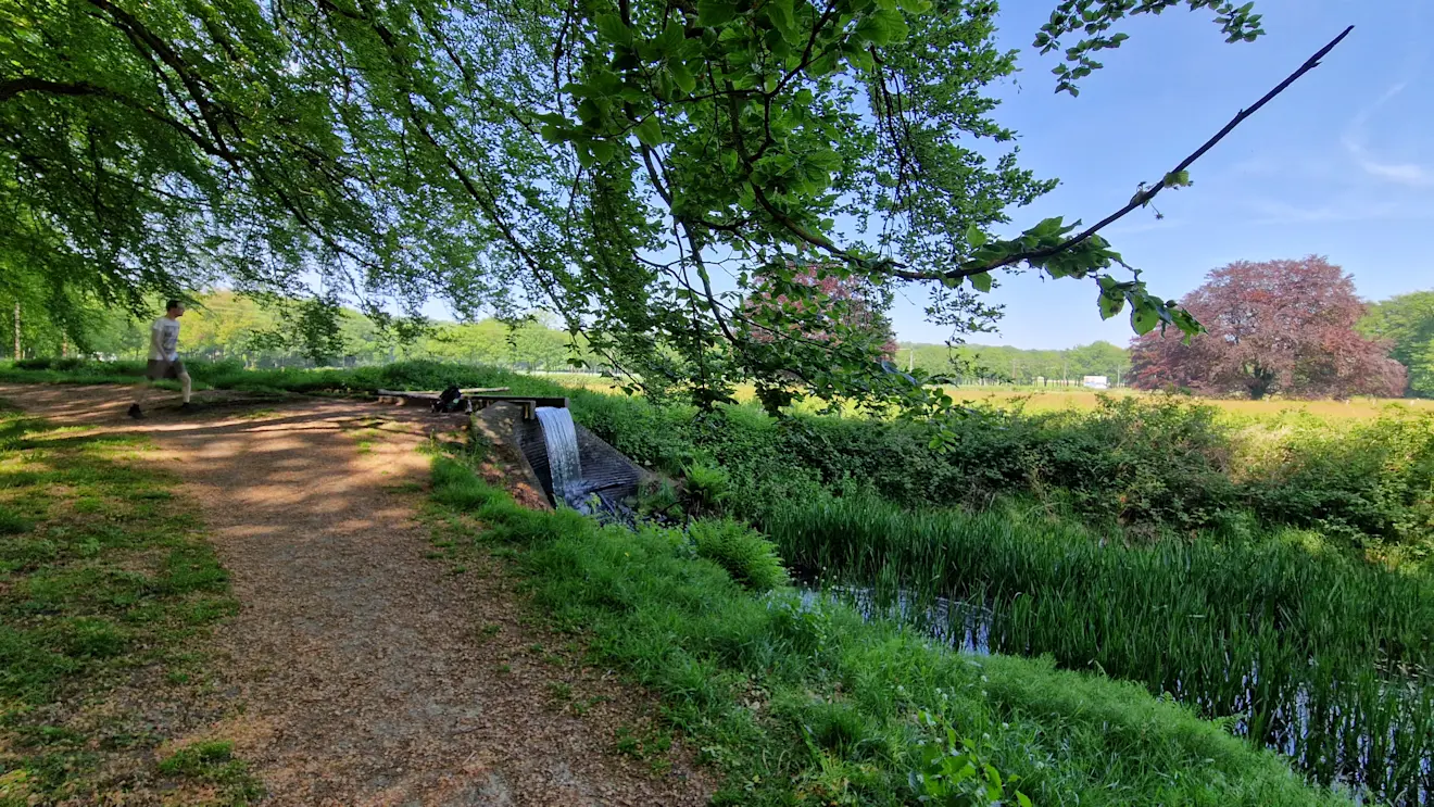 De Beekhuizerbeek bij Velp. Er staat flink wat water in. Foto: Reinout van den Born.