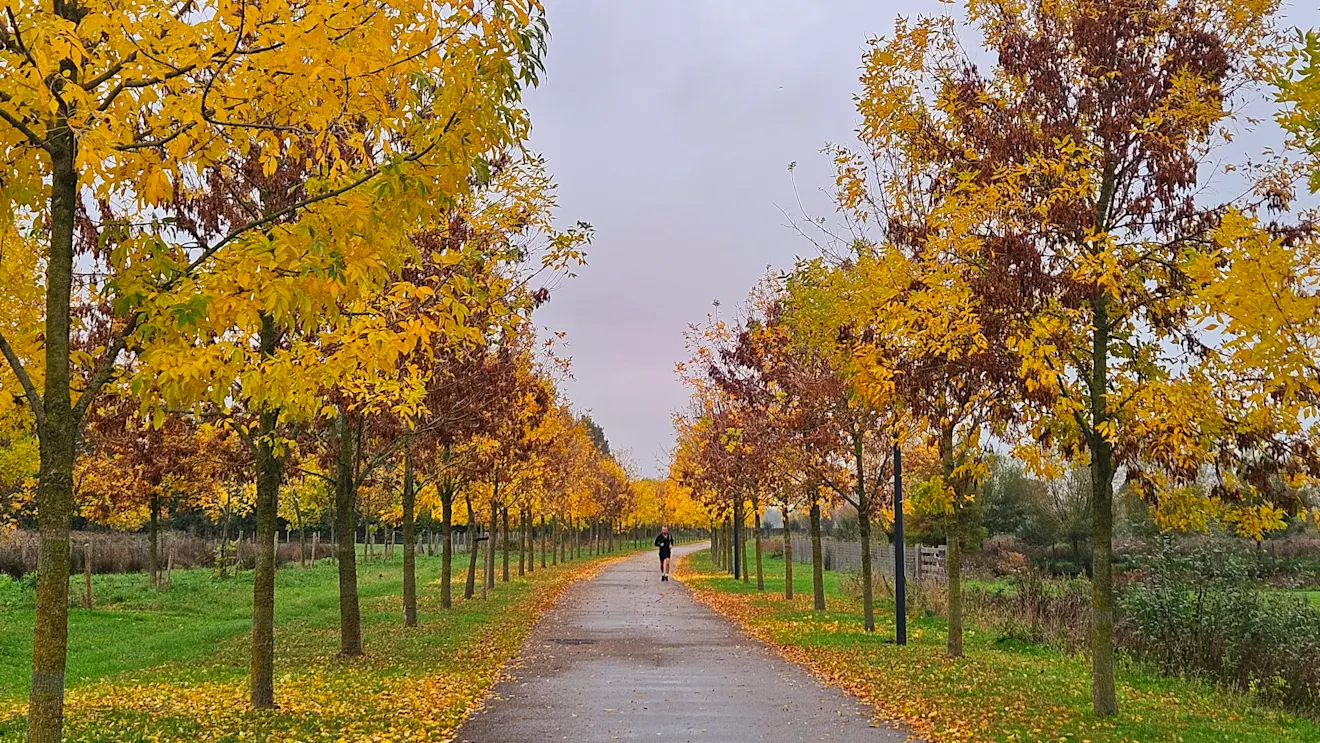 Herfst in de Betuwe - Nely van Frankenhuyzen