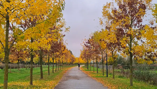Herfst in de Betuwe - Nely van Frankenhuyzen