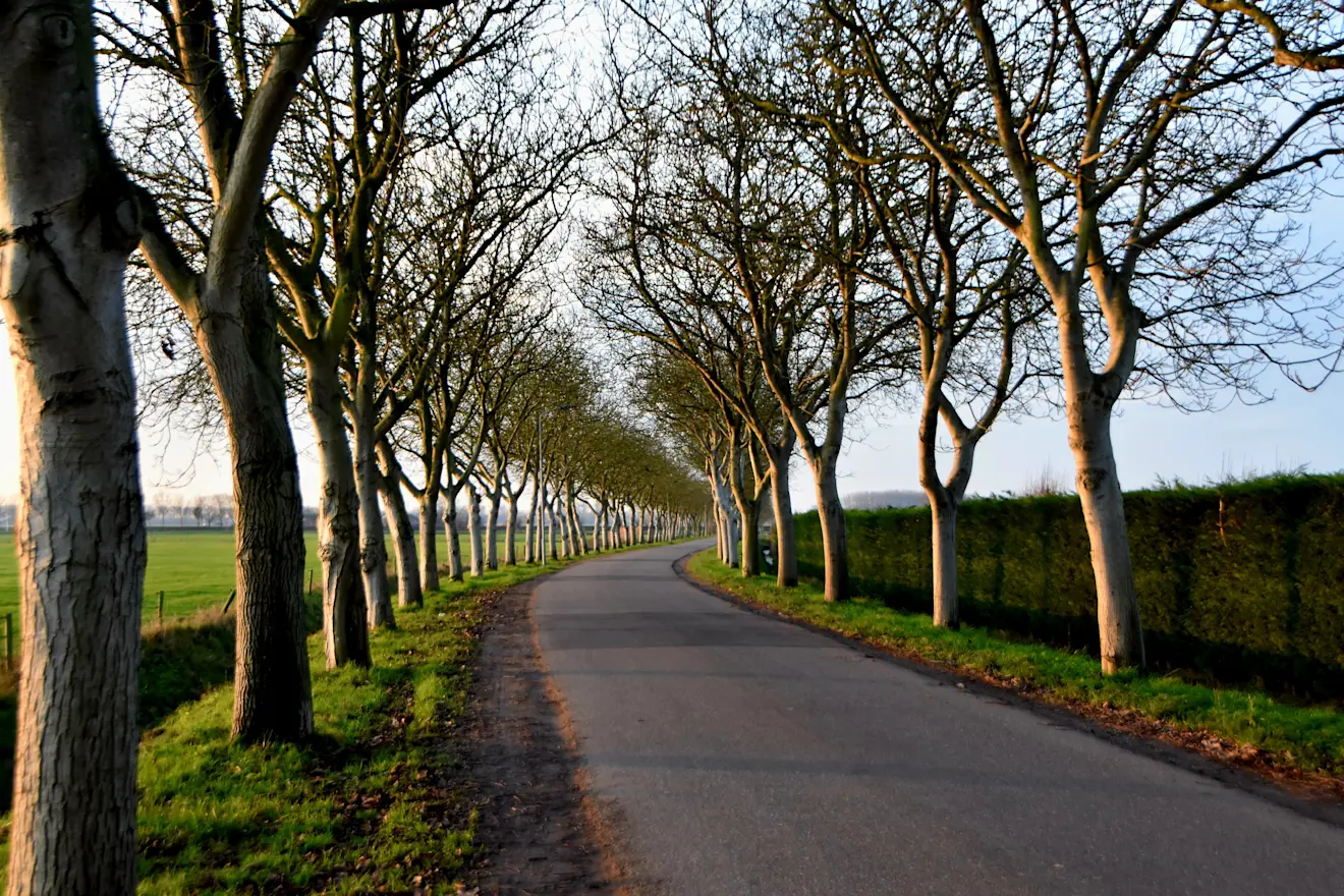 In het oosten van Nederland was het de afgelopen dagen bijna lente - Huibert Boon