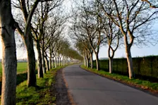 In het oosten van Nederland was het de afgelopen dagen bijna lente - Huibert Boon