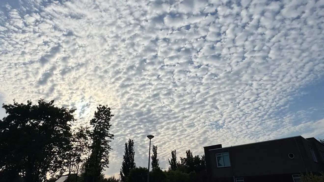 Schapenwolken komen voort uit de Bénard-onstabiliteit - Jolanda Bakker