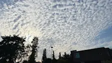 Schapenwolken komen voort uit de Bénard-onstabiliteit - Jolanda Bakker