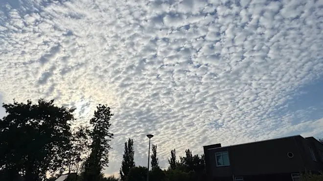 Schapenwolken komen voort uit de Bénard-onstabiliteit - Jolanda Bakker