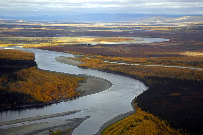 Alaska kent dit jaar een zeer koude zomerstart - US Fish and Wildlife Service