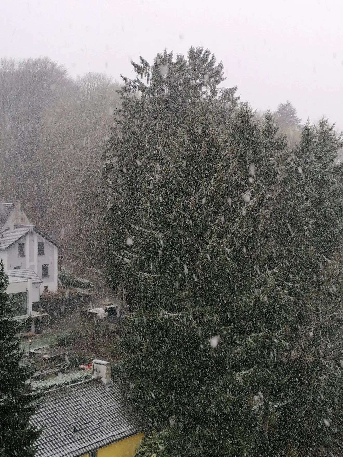 Sneeuw in Vaals - Carlos Sour