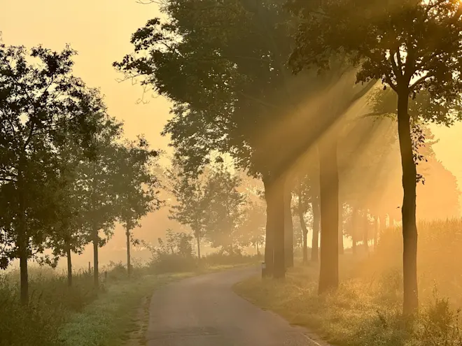 Veel vocht in de lucht, vanochtend in Montfort - Thieu Smeets