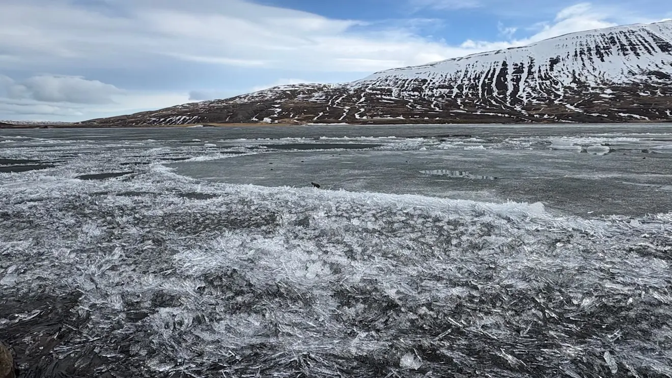 Het meer met de ijsnaalden - Pieter Bliek