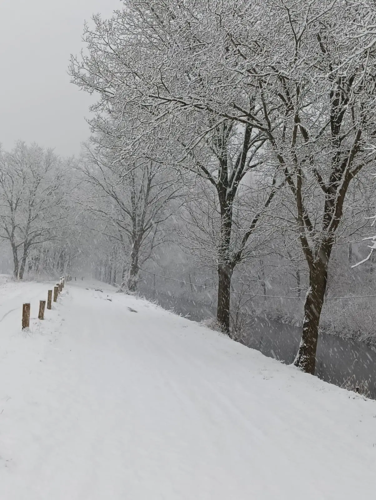 Veel sneeuw vanochtend in het Drentse Wijster - Gerrit Woertink