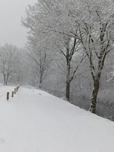 Veel sneeuw vanochtend in het Drentse Wijster - Gerrit Woertink