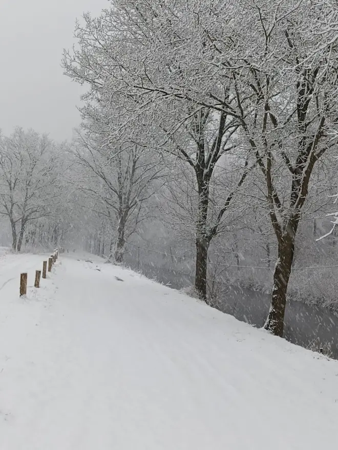 Veel sneeuw vanochtend in het Drentse Wijster - Gerrit Woertink