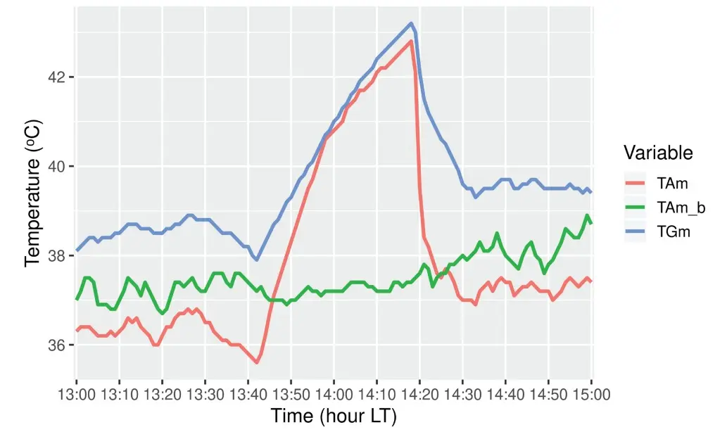 Het temperatuurverloop op de meetlocatie van de vliegbasis Deelen op 25 juli 2019. De rode lijn laat het verloop de temperatuur op een hoogte van anderhalve meter zien, de blauwe lijn het verloop op een hoogte van 10 centimeter. De groene lijn geeft de meting op de een kilometer verderop gelegen back-up locatie aan - Meteorologica.