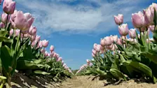 Het wordt de komende dagen fraai weer in Nederland. Daarna werk de SSW van begin maart aan zijn laatste kunstje - Jolanda Bakker