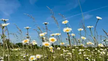 Hoe wordt de komende zomer? - Jolanda Bakker