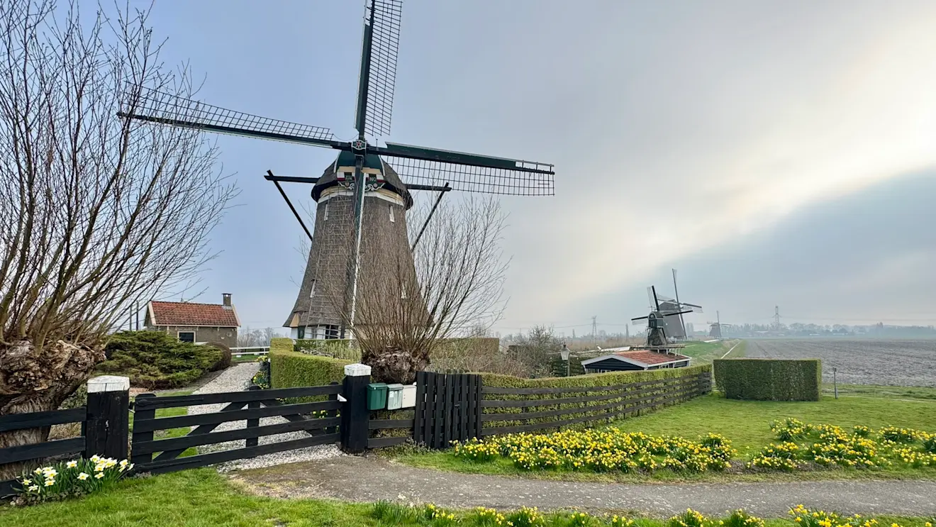 Het was vanochtend nog even wachten totdat de lage bewolking verdween - Jolanda Bakker