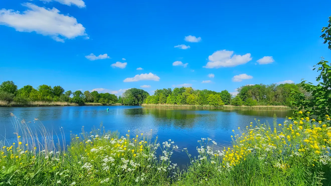 Natuurpark Lelystad in de volle zon - Jannine Sanders