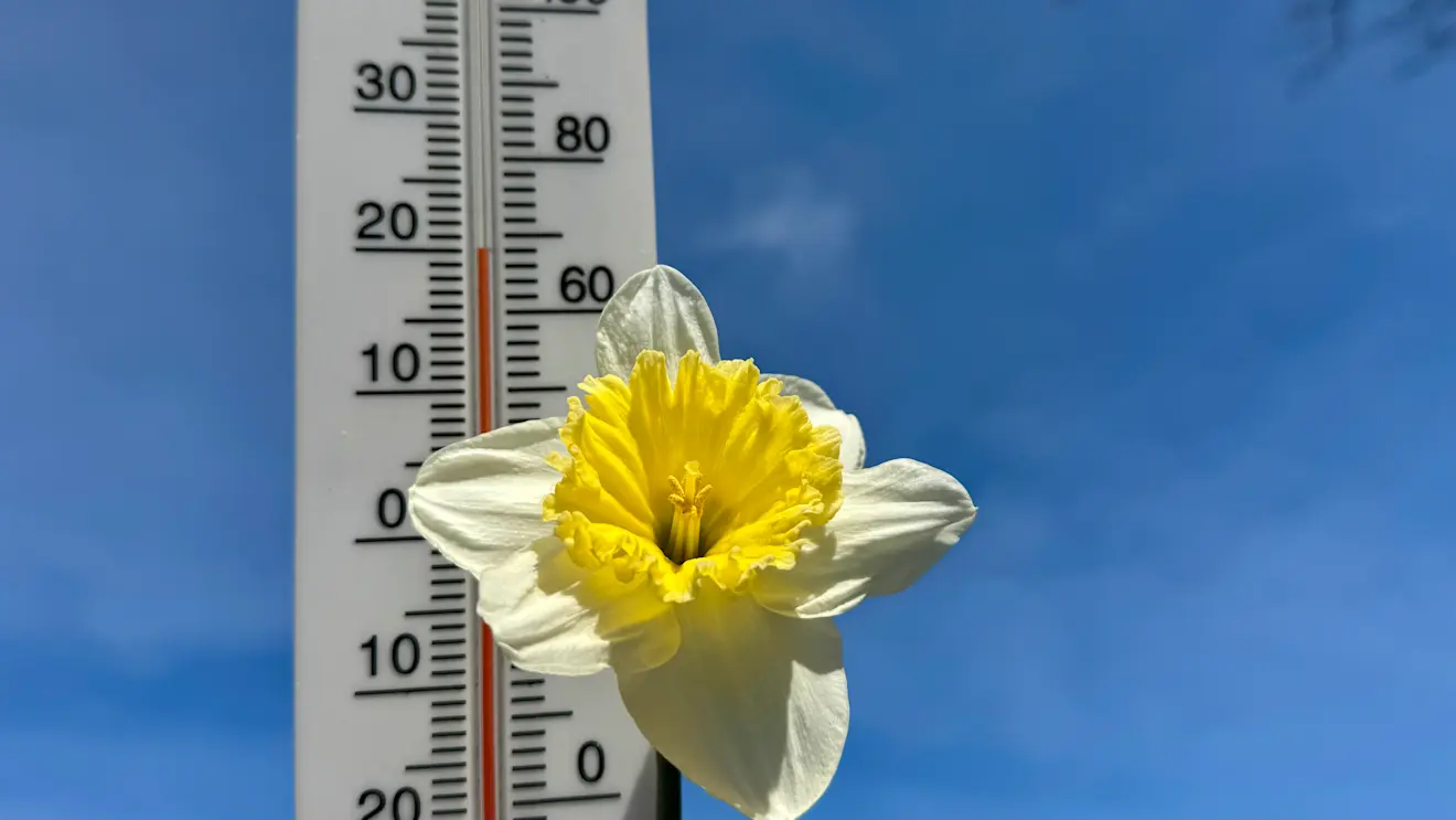 Het leek wel zomer in Nederland - Jolanda Bakker