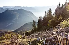 Het Salzburgerland ligt later deze week mogelijk in het brandpunt van een zeer extreme neerslagsituatie - Horst Michael Lechner