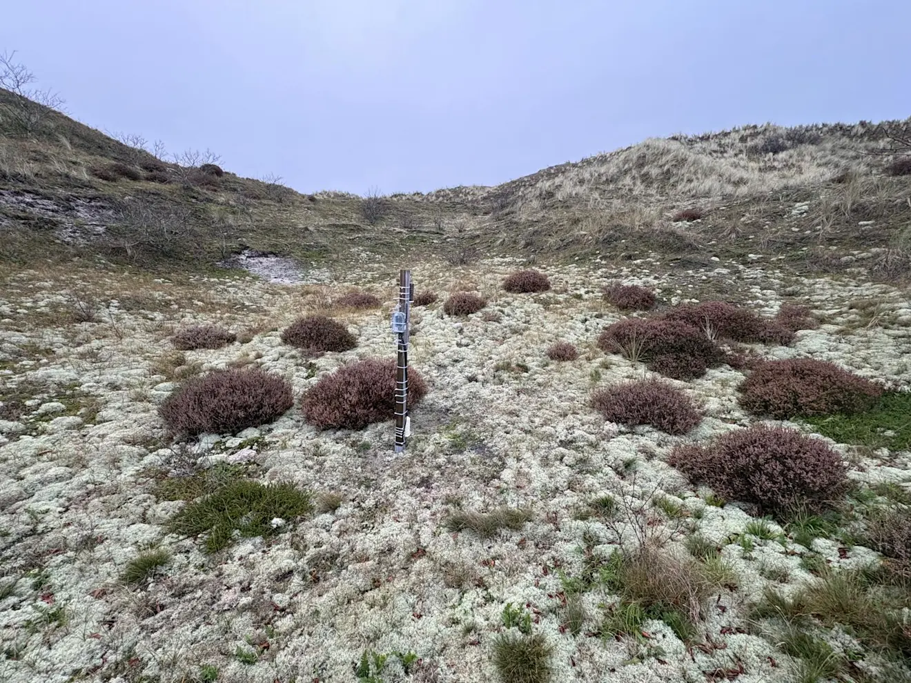 Duinpan Vogelmeer 4 - Pieter Bliek