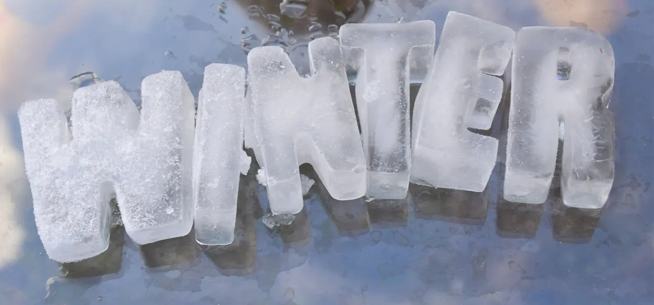 Winter - Cynthia van Leusden
