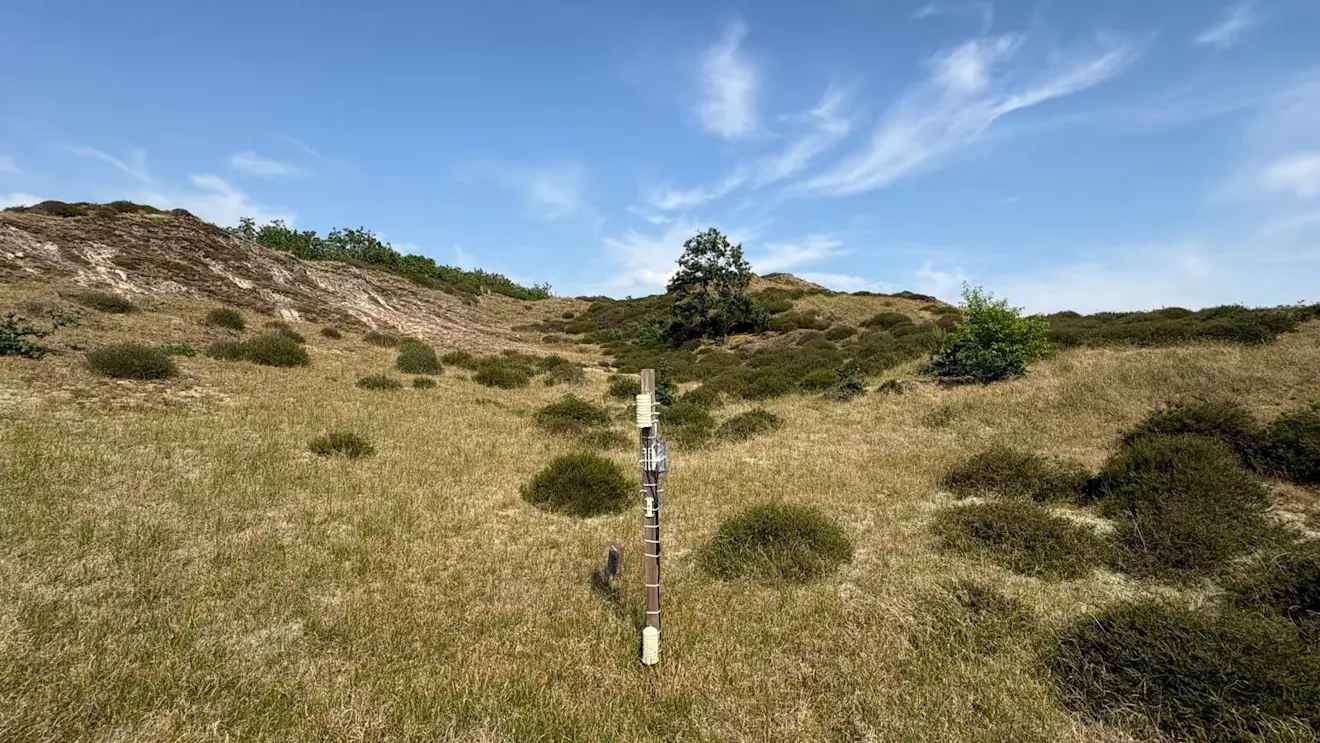 De meetopstelling in duinpan Bol 2 - Pieter Bliek