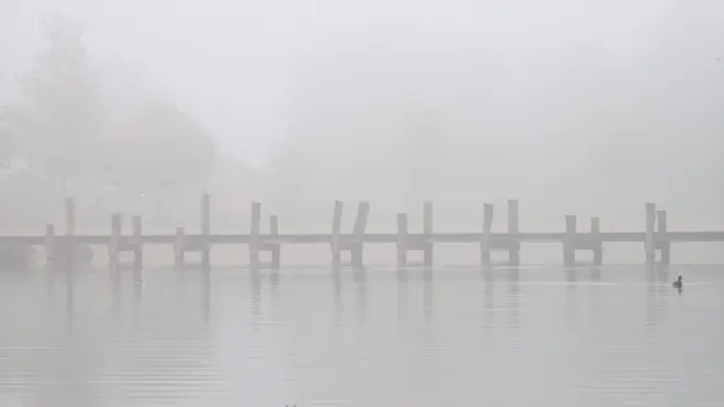 De lucht waarin we ons bevinden is erg vochtig - Cynthia van Leusden