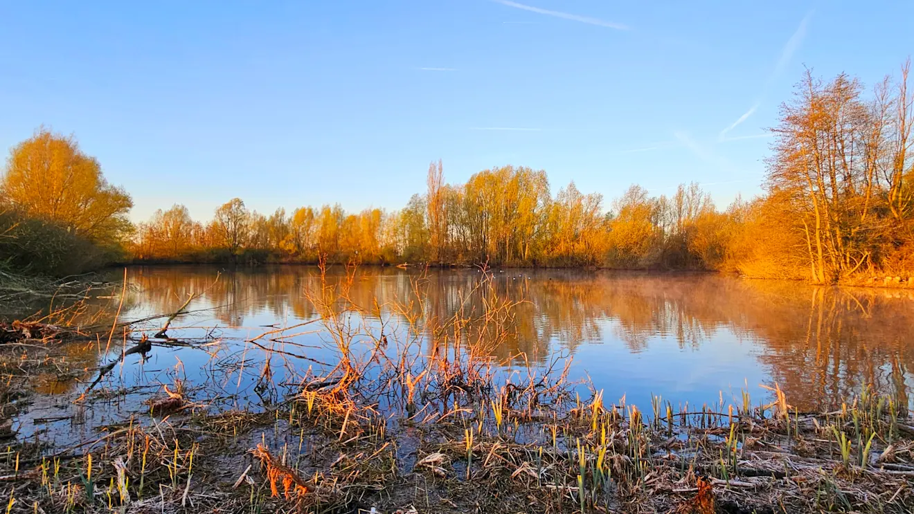 Ochtendgloren in de Betuwe - Nely van Frankenhuyzen