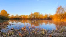 Ochtendgloren in de Betuwe - Nely van Frankenhuyzen