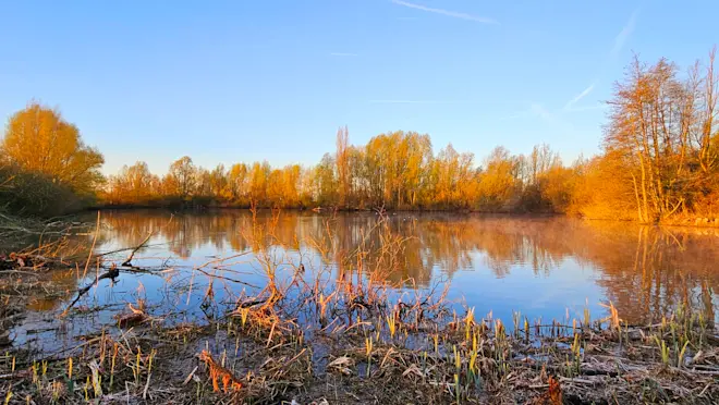 Ochtendgloren in de Betuwe - Nely van Frankenhuyzen