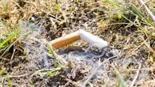 Het is erg droog in de natuur. Eén brandende peuk kan al een natuurbrand veroorzaken - Ab Donker