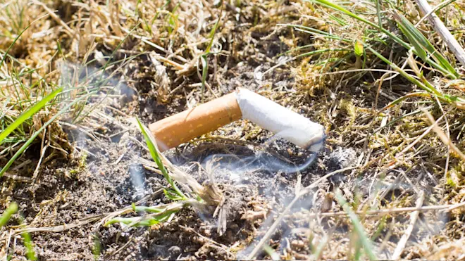 Het is erg droog in de natuur. Eén brandende peuk kan al een natuurbrand veroorzaken - Ab Donker