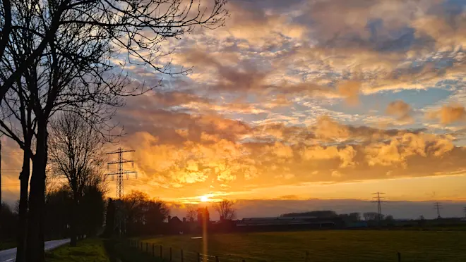 Lentweer - Nely van Frankenhuyzen