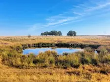 Droogte op het Terletseveld bij Arnhem in de zomer van 2022 - Reinout van den Born