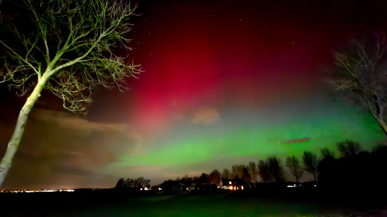 Beusichem - Nely van Frankenhuyzen
