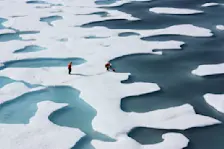 Smeltmeertjes op het zeeijs rond de Noorpool, gedurende de zomermaanden - NASA