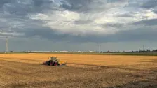 Kleine buitjes boven Zuid-Holland Jolanda Bakker