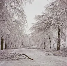 Beelden van de ijzel in Drenthe - Karin Broekhuijsen