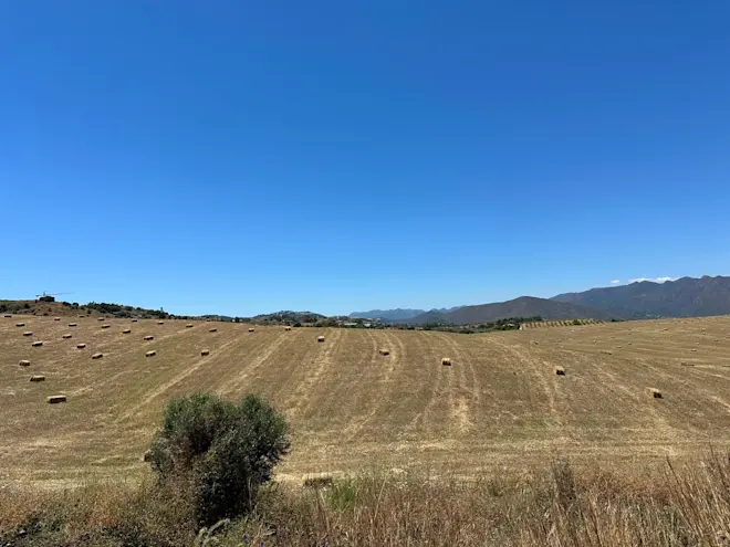 Spaanse boeren halen tussen Coin en Fuengirola het gras van het land. Door de regen van de laatste manden was dat dit jaar weer mogelijk - Tycho van den Born