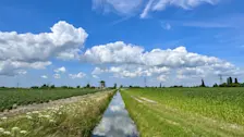 Zomer in Zuid-Holland - Jolanda Bakker