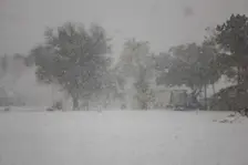 Sneeuw in Louisiana, gisteren - Ebenap
