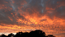 Avondrood in De Lutte - Tonny Morsink
