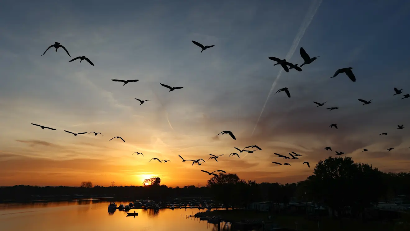 De winter is weer in Nederland, en hoe! De eerste ijsbanen zijn al open - Henk Straatman
