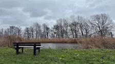 Ook vanochtend begon het op veel plaatsen grijs - Jolanda Bakker