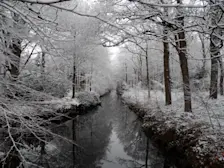 Sneeuw in Oranjewoud, op 11 december 2017 - Albert Thibaudier