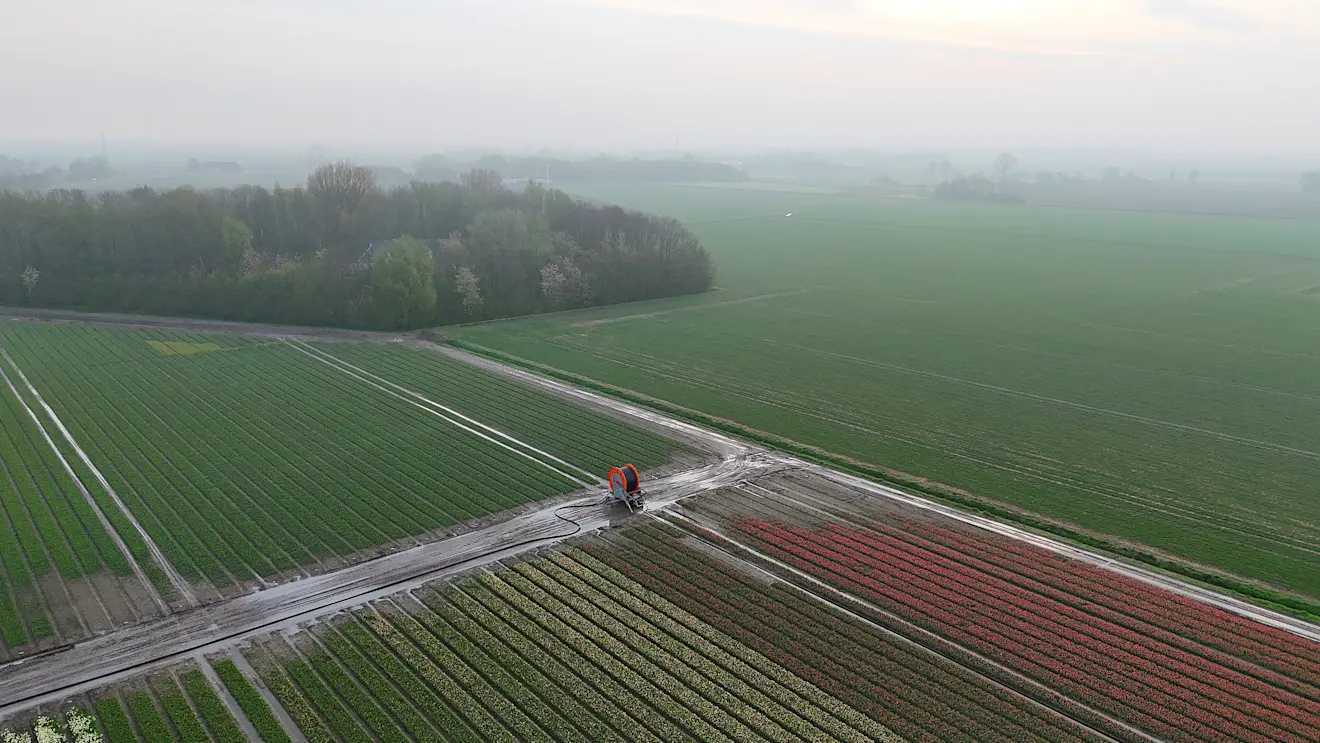 Deze sproeier is in de buurt van Roodeschool na de 19 millimeter regen van dinsdag even niet meer nodig - Jannes Wiersema