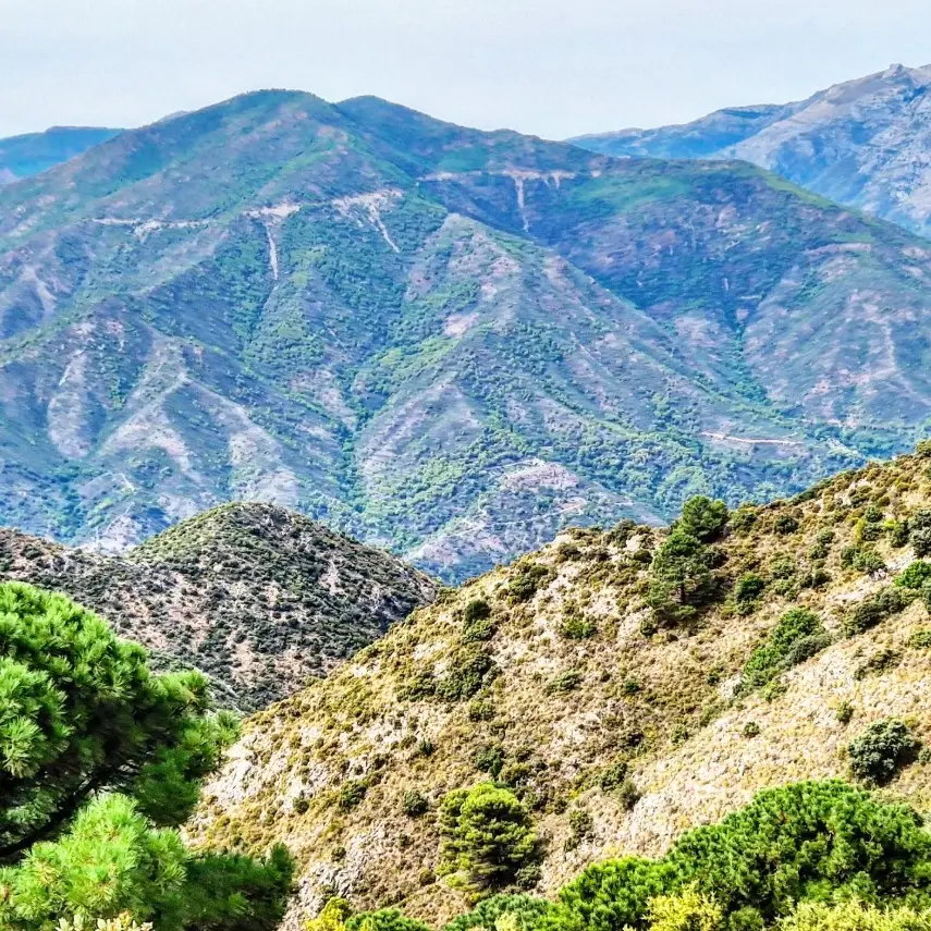 Het natuurgebied Juanar in de buurt van Marbella in Spanje. In de eerste 19 dagen maart viel hier bijna 800 millimeter regen - Reinout van den Born